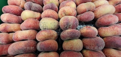 巴拉圭是一种李属植物。