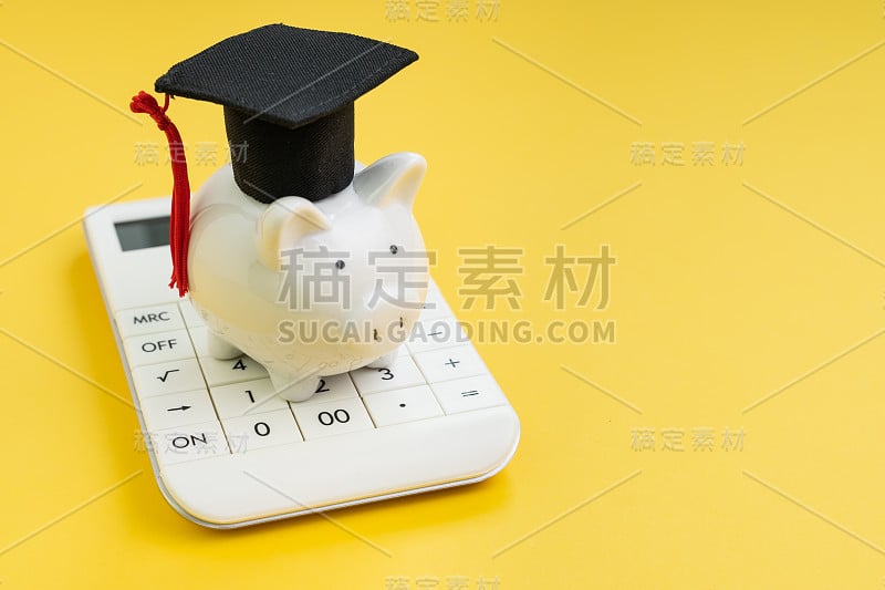 学生贷款支付计算，奖学金或节省学校和教育概念，白色小猪存钱罐戴着毕业帽计算器在黄色的背景与复制空间