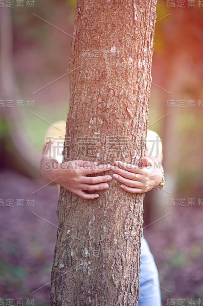 女人拥抱树树恋人森林爱自然爱树爱概念