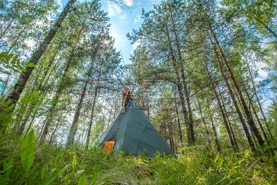 传统的印度tipi(圆锥形帐篷)房子在森林中