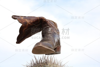 引导在仙人掌上