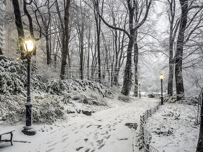 纽约中央公园的暴风雪