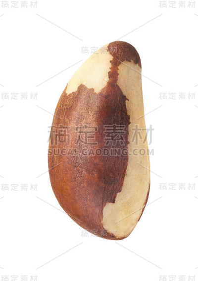 单一巴西坚果孤立在白色上