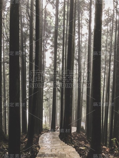 Alishan, Taichung