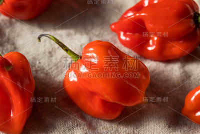 生红有机哈瓦那辣椒