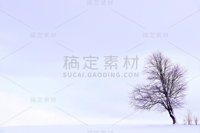 极简主义的冬季景观:一棵树在白雪覆盖的紫罗兰色田野上