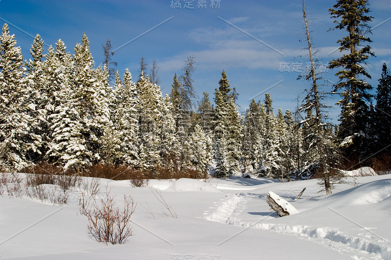 雪地上的滑雪道