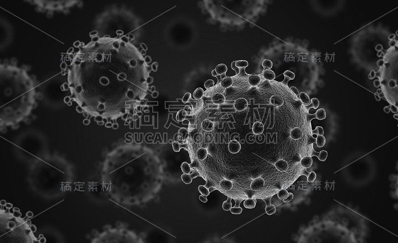 新型冠状病毒肺炎冠状病毒的爆发。2019 - 2020。