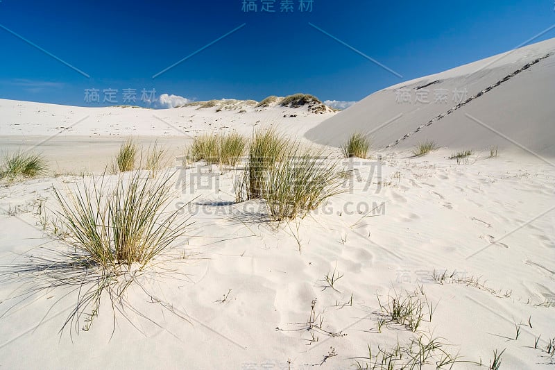 沙漠勒巴的风景