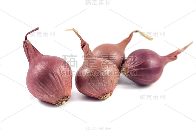 洋葱孤立在白色背景上