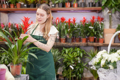 经验丰富的女花匠正在他的花店检查盆栽