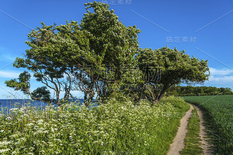 斯塔伯胡克陡峭的海岸景观