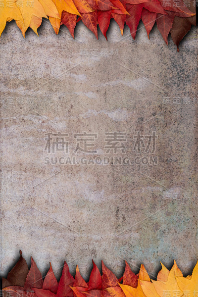 背景上的秋叶