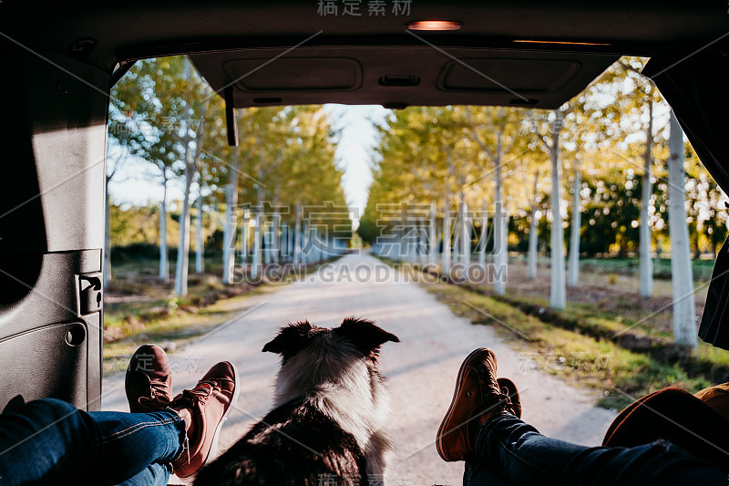 可爱的边境牧羊犬和两条女人的腿在一辆面包车里放松。旅行的概念。