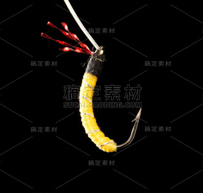 在黑色的背景上飞翔去抓鱼
