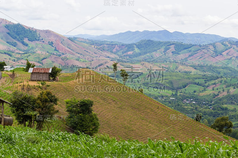 山上的农民小屋