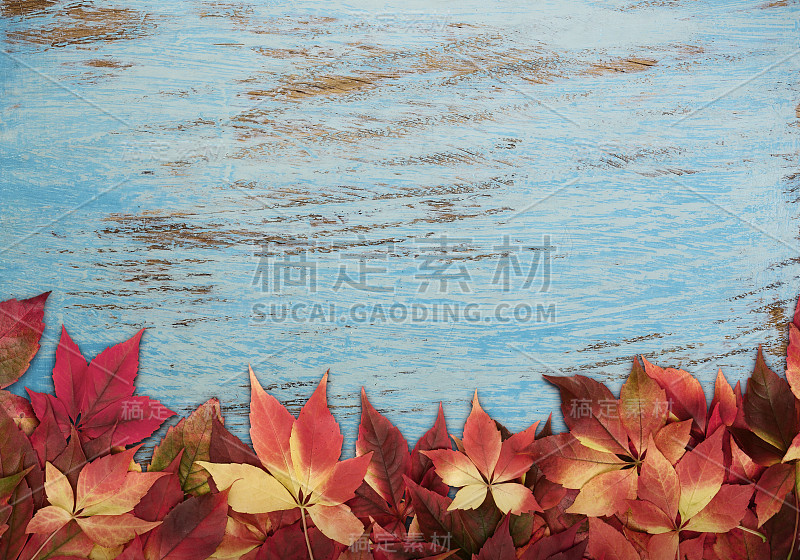 Autumnn背景