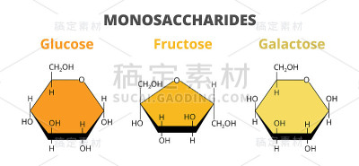 膳食单糖-葡萄糖，果糖，半乳糖分子分离的白色。单糖，碳水化合物的单体。