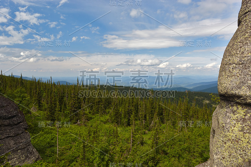 高山草甸。阿尔泰的动机。