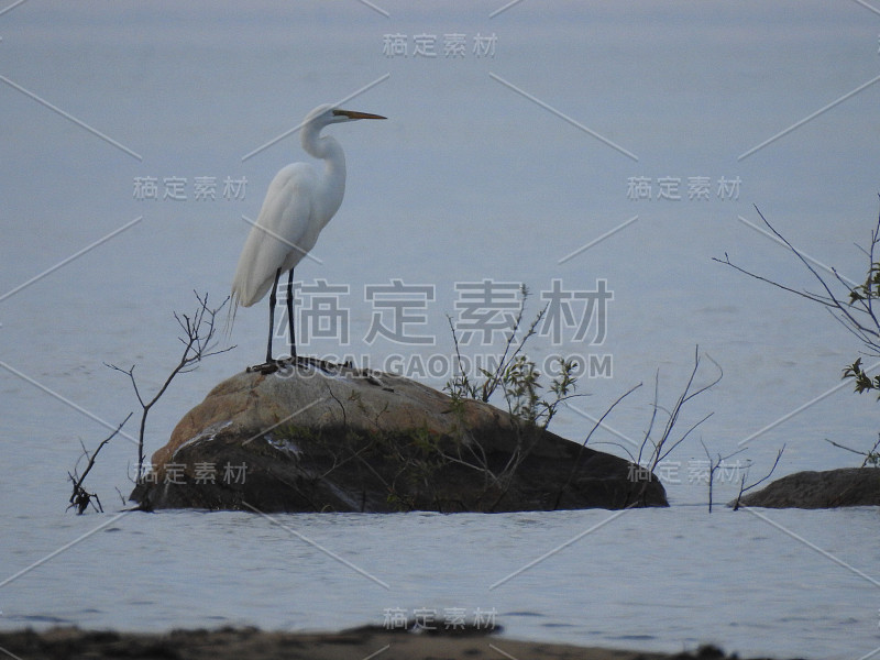 哈伯德湖,密歇根