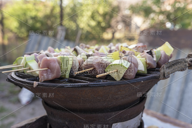 夏日自然烧烤，户外烤肉，派对。特写镜头