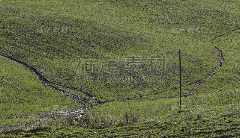 锡耶纳乡村的风景