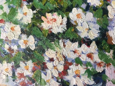 画美丽的花在许多颜色