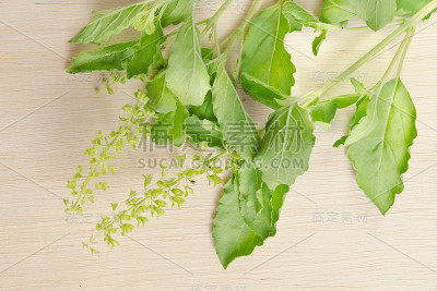罗勒叶孤立在木板背景上