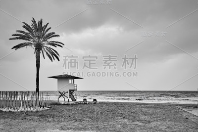 荒凉的海滩，有棕榈树和救生员塔