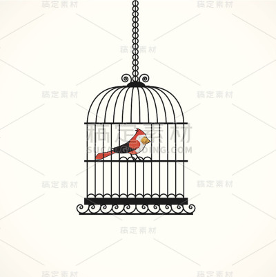 的鸟