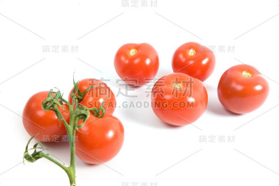 两组番茄