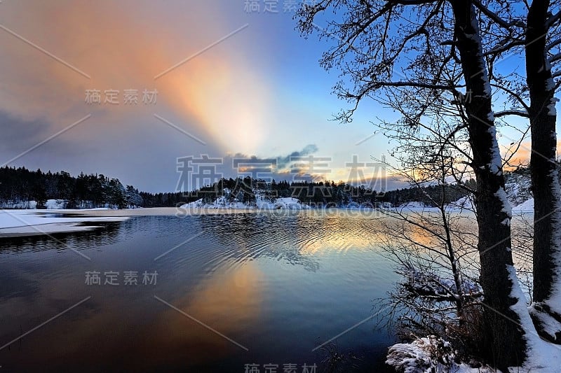 冬季在森林湖。常青树和雪岸