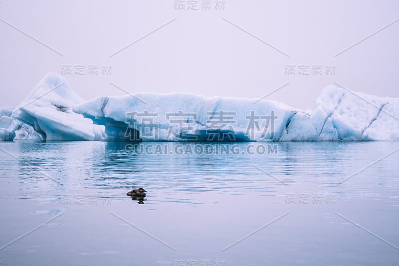 蓝色的冰川倒映在冰岛Jokulsalron冰湖的水面上