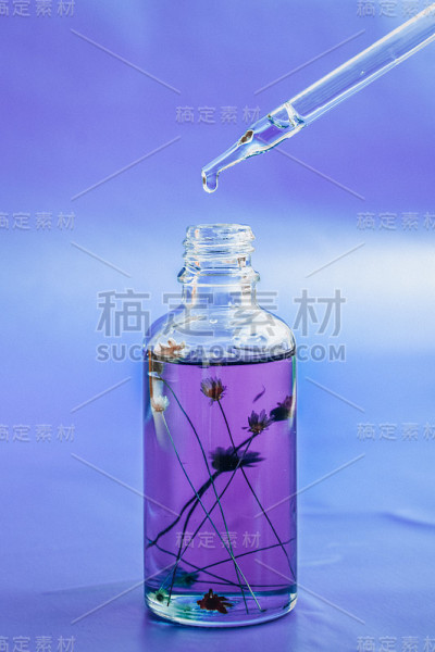 抗衰老血清玻璃瓶，紫色底色滴液。面部胶原蛋白和肽液。