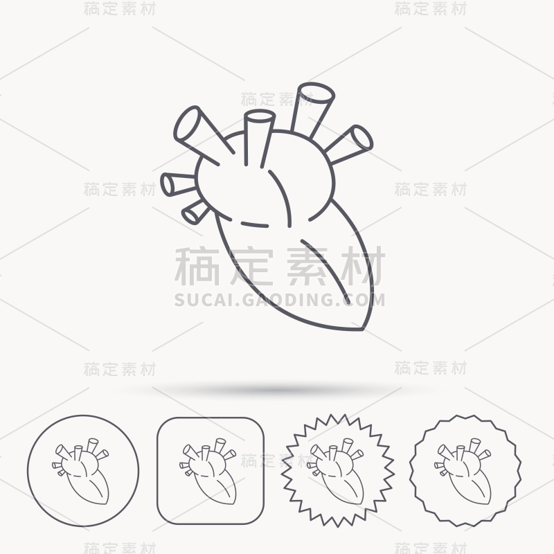 心的图标。人体器官的迹象。移植。