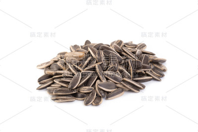 白色背景上的太阳花种子