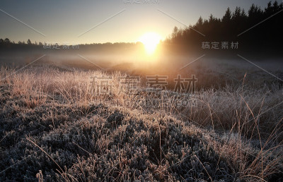 荷兰，雾蒙蒙的秋天日出，覆盖着霜冻的草地