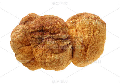 在白色背景上分离的猴头
