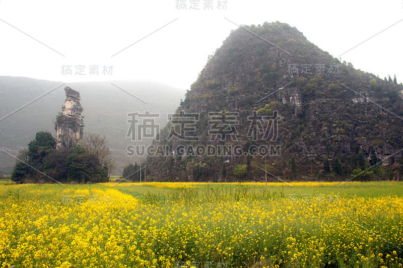 群山和牧场风光。