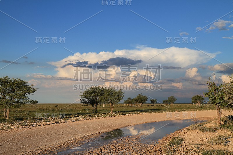 雨后的水坑在埃托沙国家公园