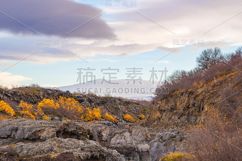 Hraunfossar系列瀑布barnafoss黄色植被旁边的瀑布在阳光明媚的秋日