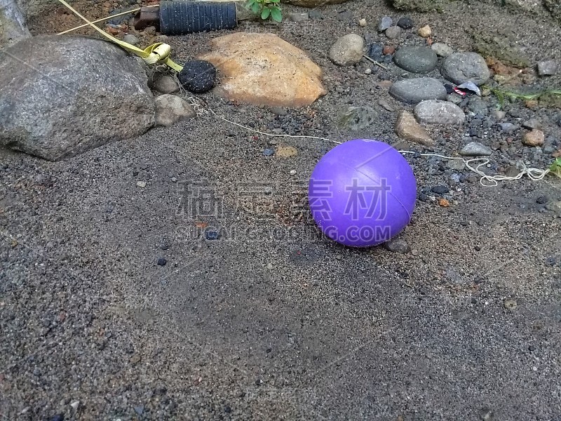 雨后砂土上的紫色塑料球