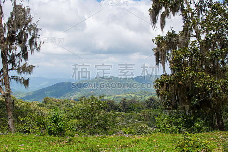 尼加拉瓜蒂西埃斯坦祖拉自然保护区的景观