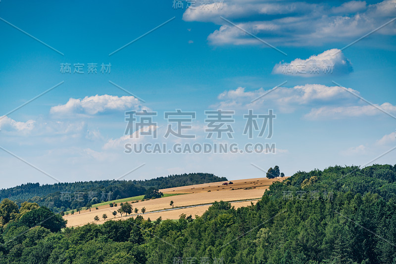 瑞士波西米亚的坏山道。巴斯蒂桥和山景。狭窄的岩石，天然的砂岩拱门在欧洲。有绿色植物、蓝天和阳光的山景