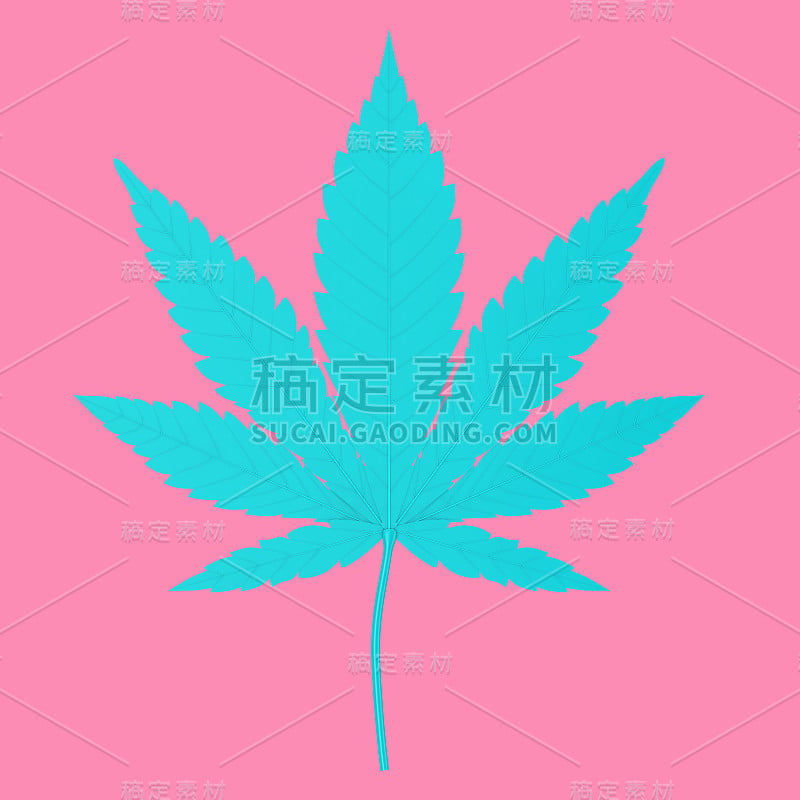 蓝色医用大麻或大麻大麻叶在双色调风格。3d渲染