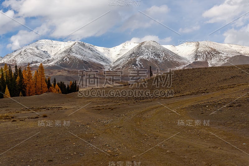 高山秋天森林雪