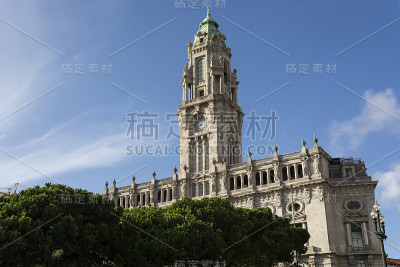 波尔图市政厅。松树。蓝天和白云。塔。