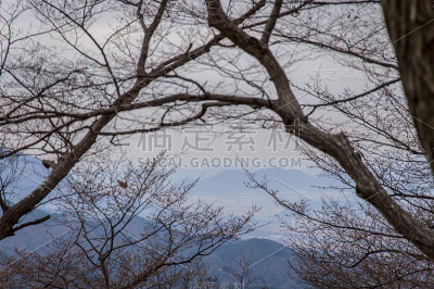 韩国庆州历史古城周围的森林