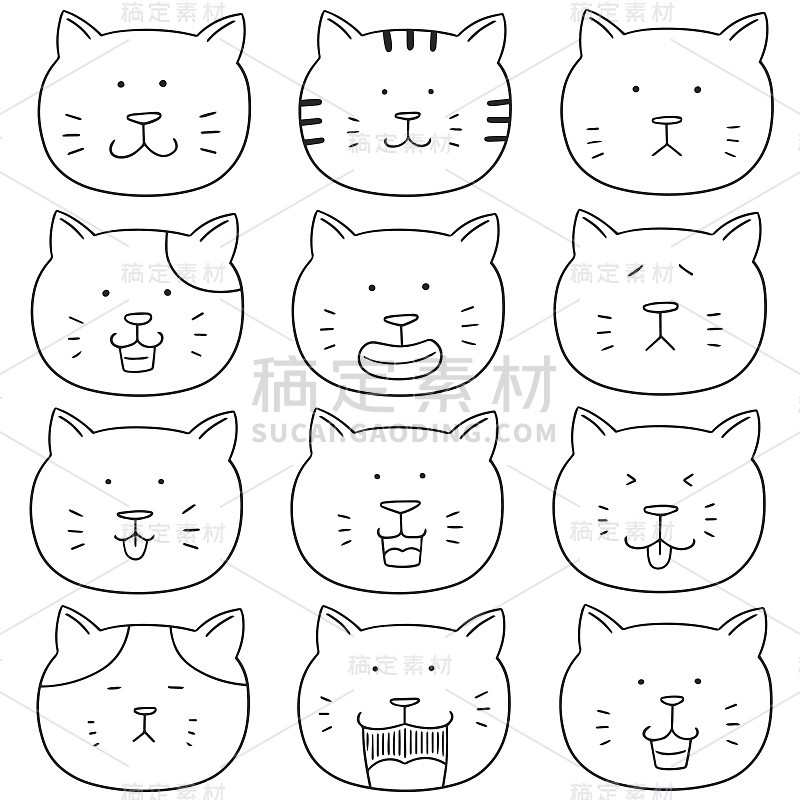 猫的脸