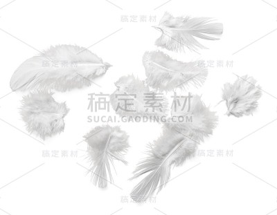 羽毛。